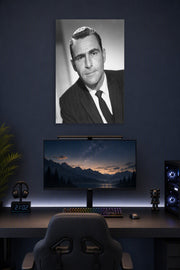 Karl Malden in a gaming desk setup above a monitor.