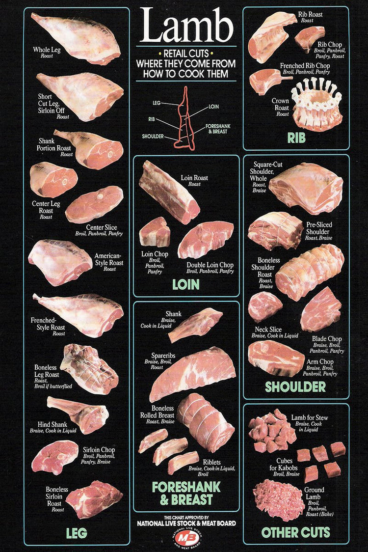 Lamb retail cuts poster charts raw leg, loin, rib, shoulder and breast cuts on a black background with teal borders.