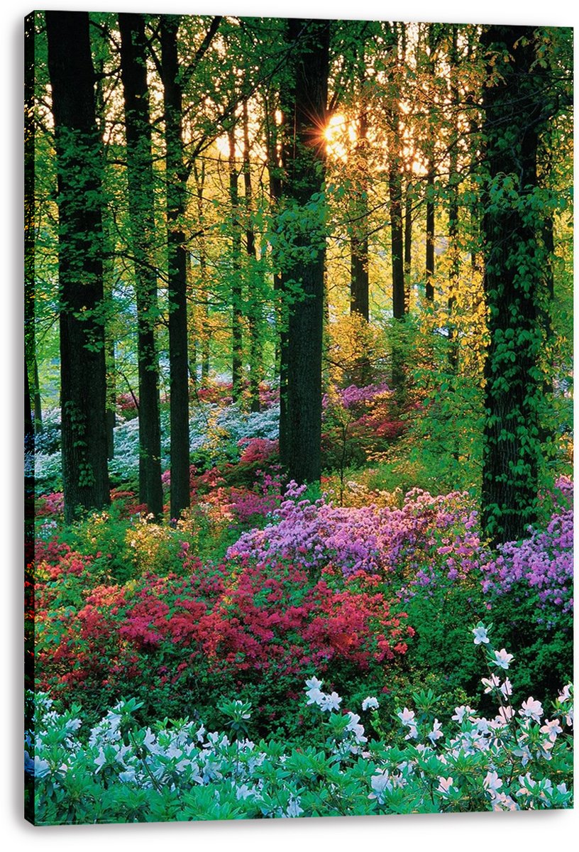 Lush forest bloom canvas wall art print featuring a sunlit woodland and layered pink, purple, red, and white flowers.