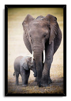 Mother and baby elephant framed wall art print features a tusked adult and calf standing on golden grass in a black frame.