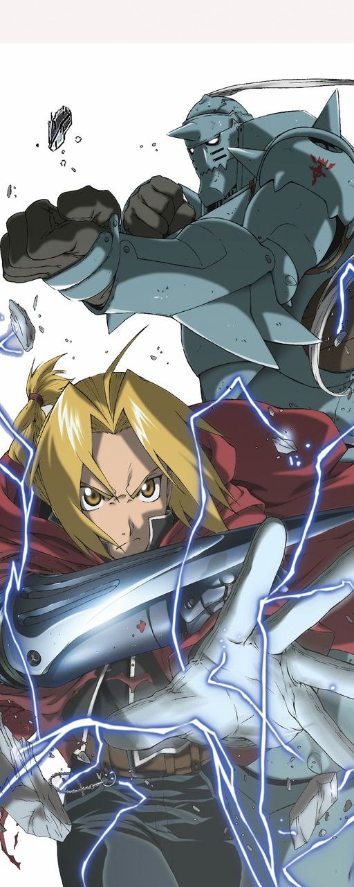 Fullmetal Alchemist Elric Brothers Poster