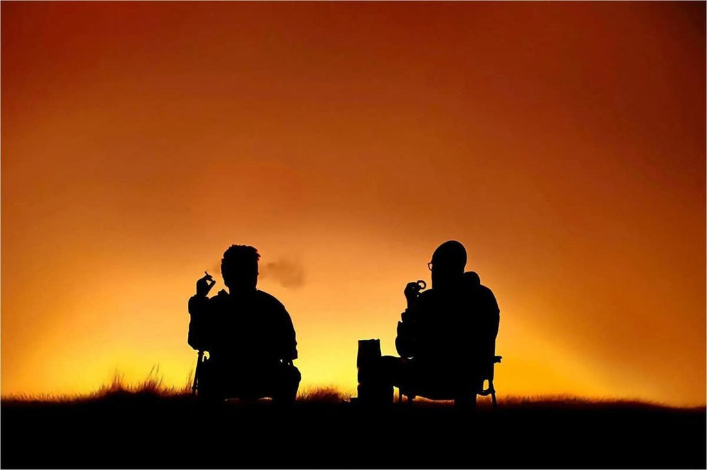 Two Friends Sunset Silhouette Poster