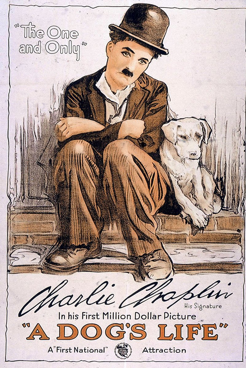 A Dog's Life poster wall art features Charlie Chaplin in a bowler hat seated beside a white dog, with vintage sepia lettering.