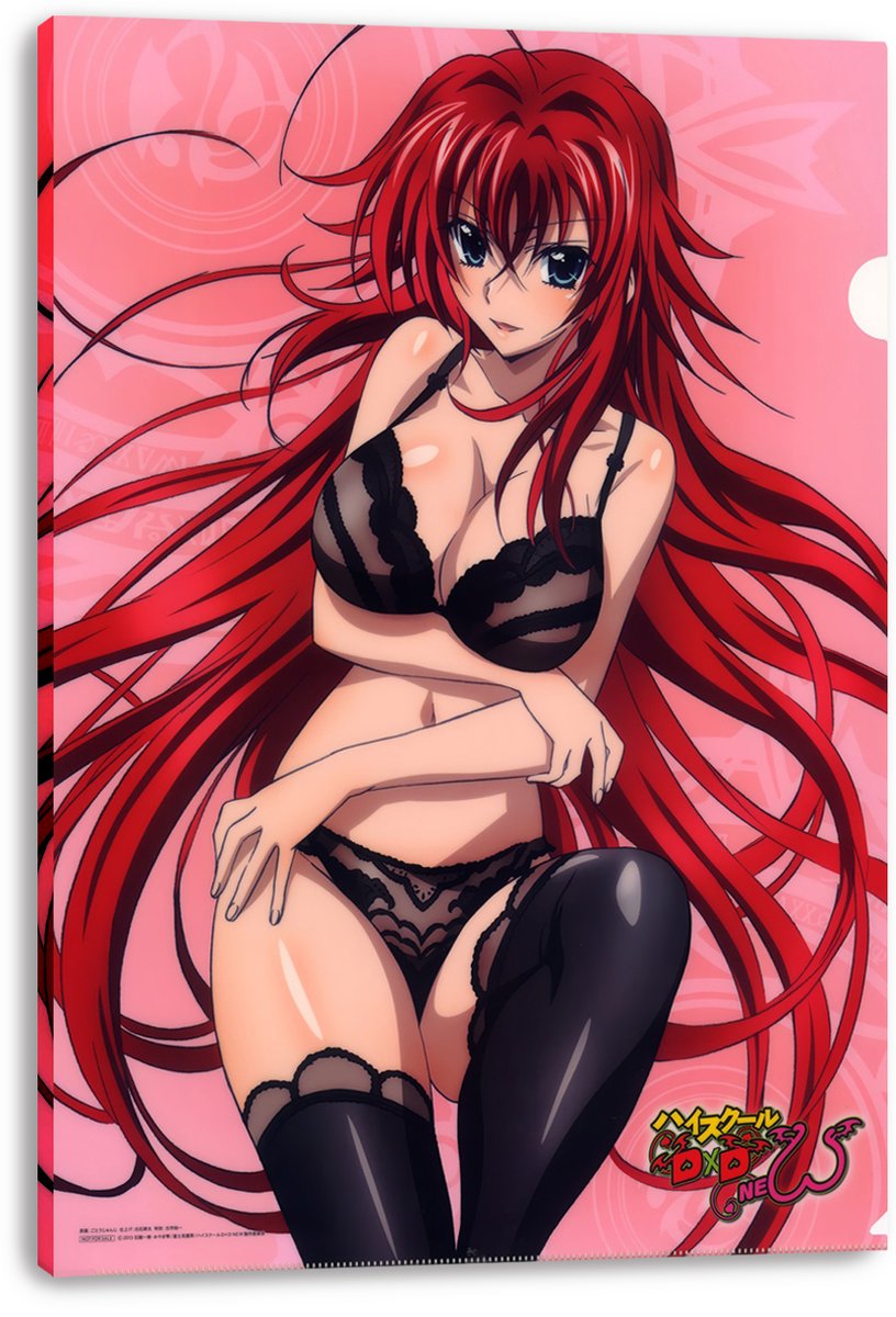 Rias Gremory canvas wall art print displays a red-haired anime woman in black lingerie on a pink patterned background.