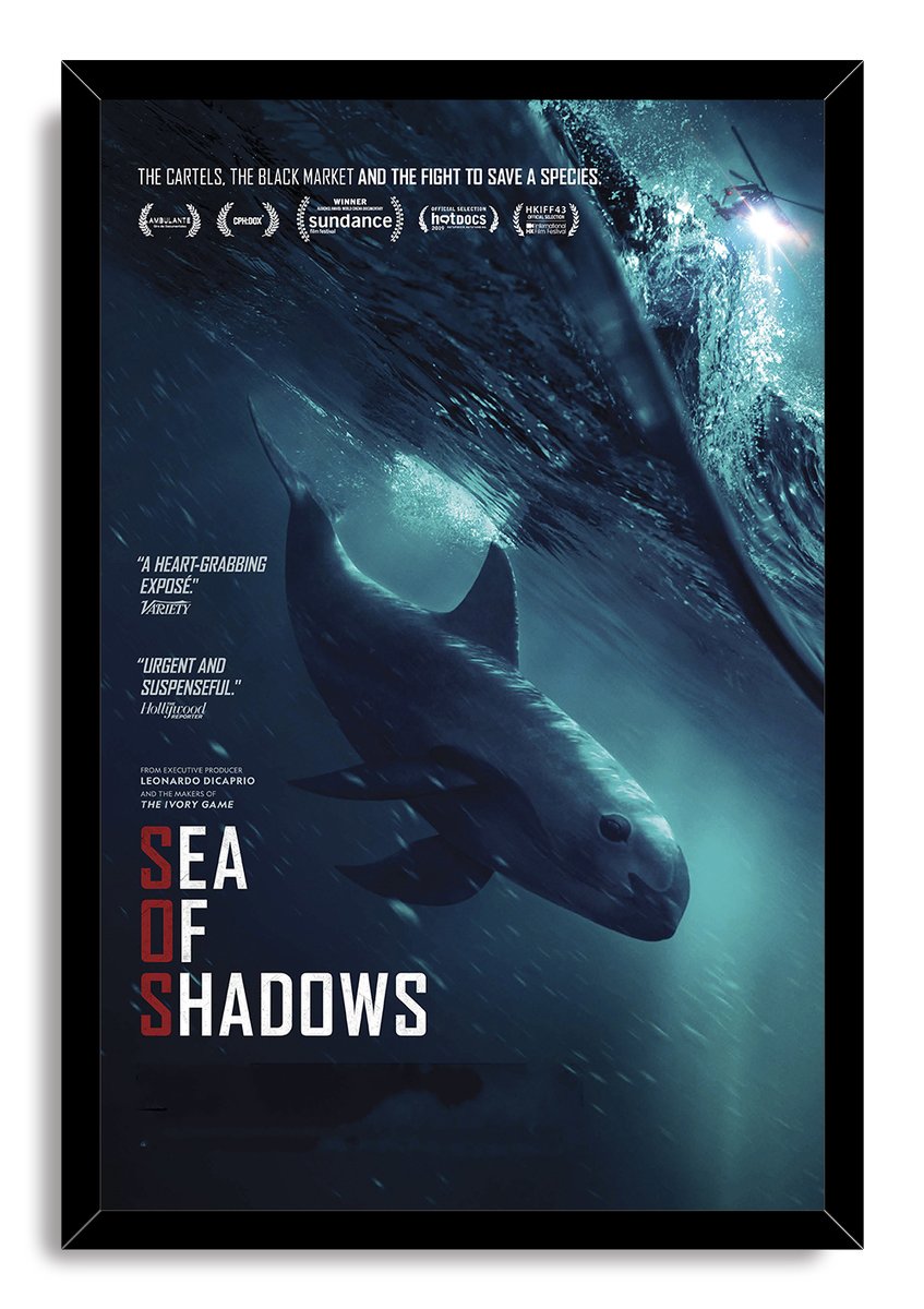Sea of Shadows framed wall art print depicts a vaquita in a deep blue ocean below waves and a distant helicopter.