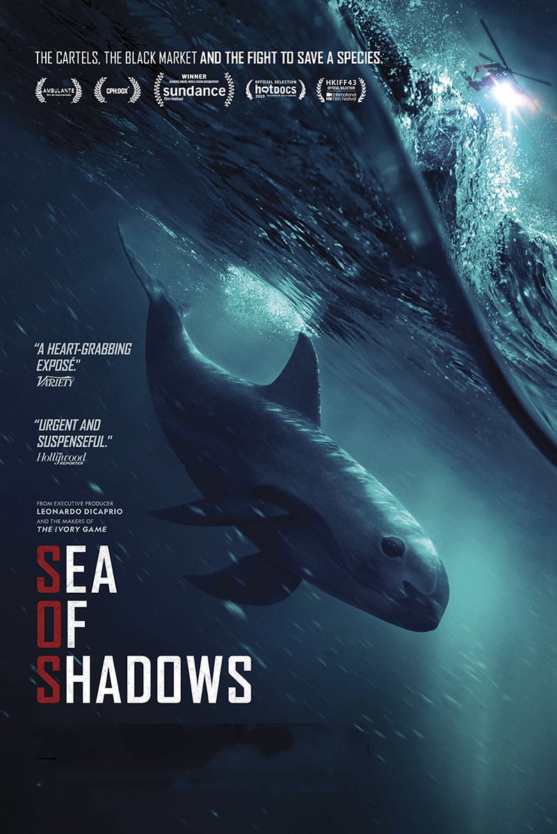 Sea of Shadows poster features a vaquita swimming through dark blue water beneath a bright surface light and helicopter.