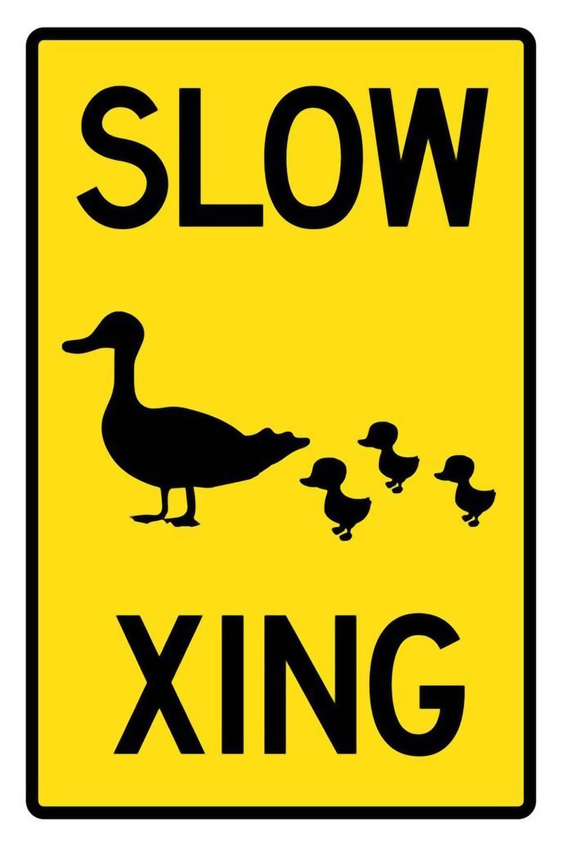 Slow Duck Crossing poster with bold black lettering and silhouettes of a mother duck with three ducklings on yellow.