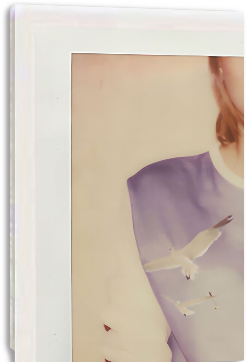Taylor Swift 1989 canvas wall art print shown in close-up, with a cropped portrait in a purple top and flying seagulls.