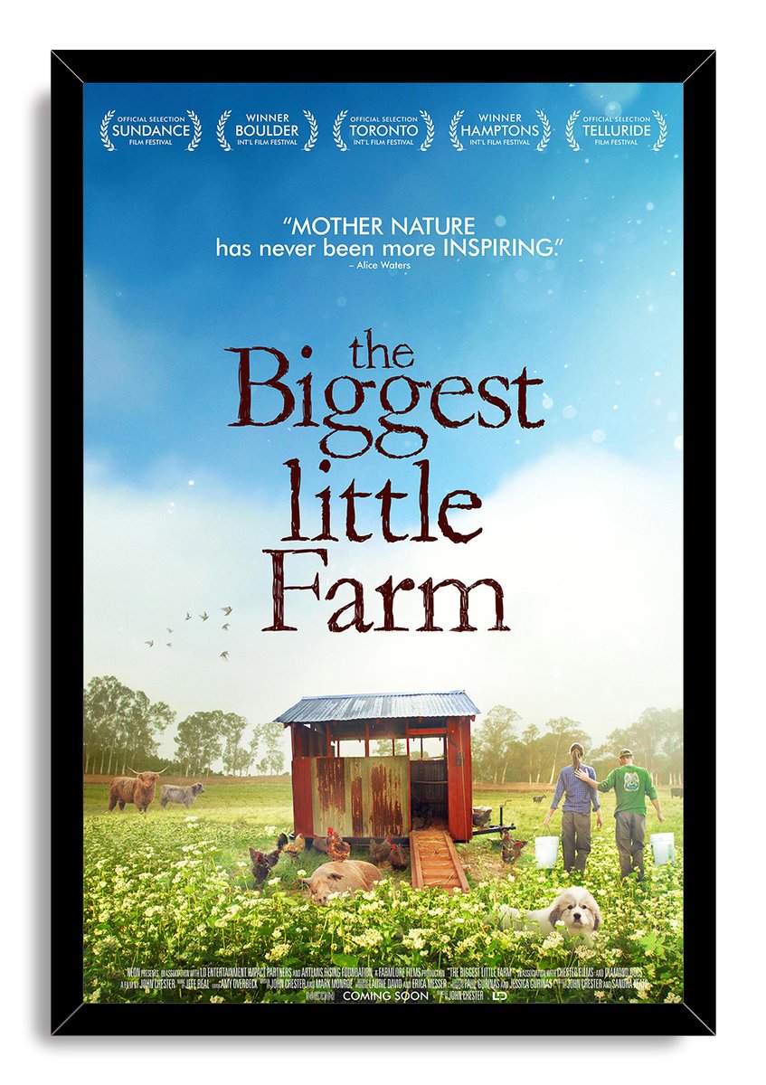 The Biggest Little Farm framed wall art print presents a blue-sky farm scene with a chicken coop, animals, and a walking couple.
