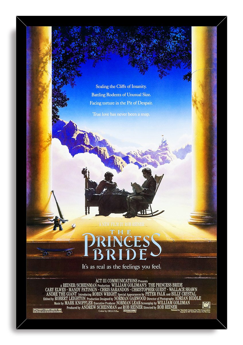 The Princess Bride framed poster presents the classic reading scene with gold columns, blue mountains, and bold title lettering.