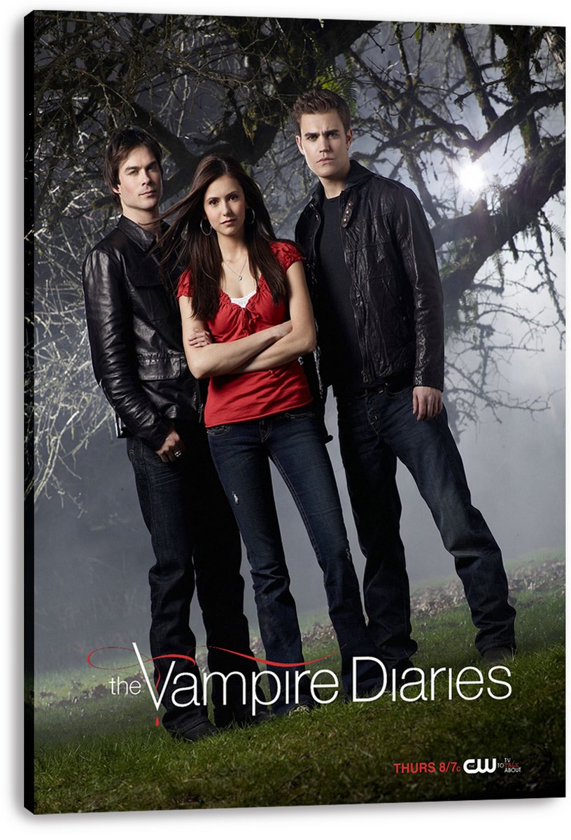 The Vampire Diaries canvas wall art print with Elena, Damon, and Stefan in dark clothing against a shadowy woodland backdrop.