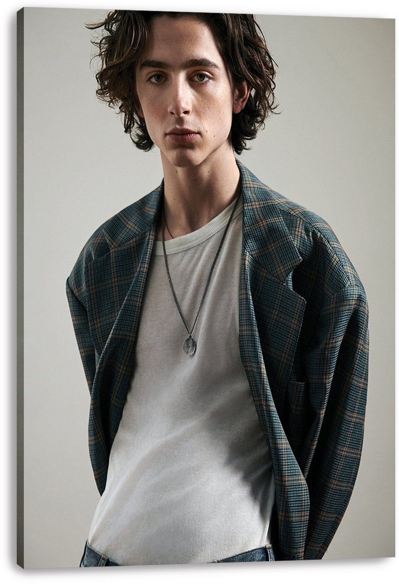 Timothée Chalamet canvas wall art print features a front-facing portrait in a blue-gray plaid blazer and white shirt.
