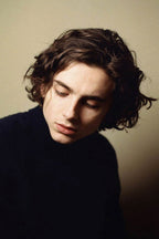 Timothée Chalamet poster portrait in muted beige and black tones, with wavy dark hair and a contemplative downward expression.