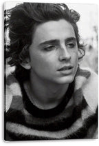 Timothée Chalamet canvas wall art print presents a monochrome close-up portrait, with visible wrapped canvas edges.