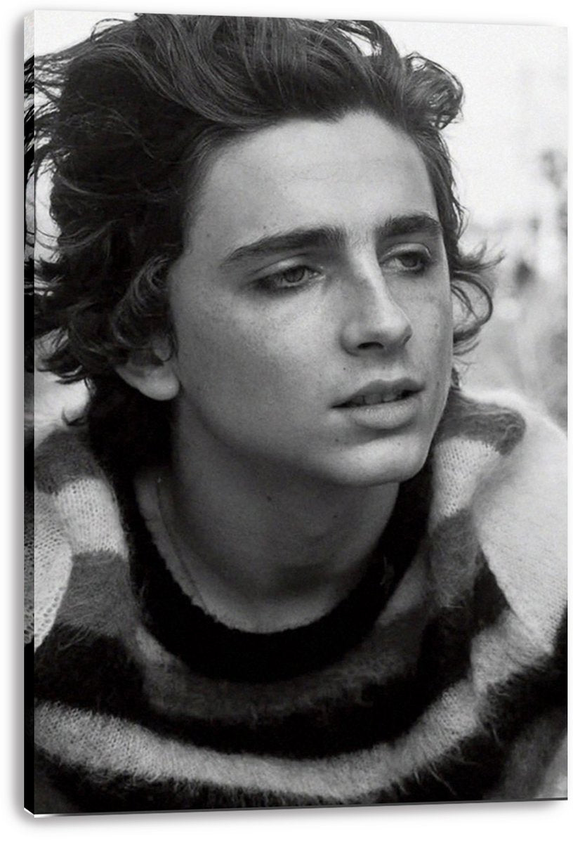 Timothée Chalamet canvas wall art print presents a monochrome close-up portrait, with visible wrapped canvas edges.