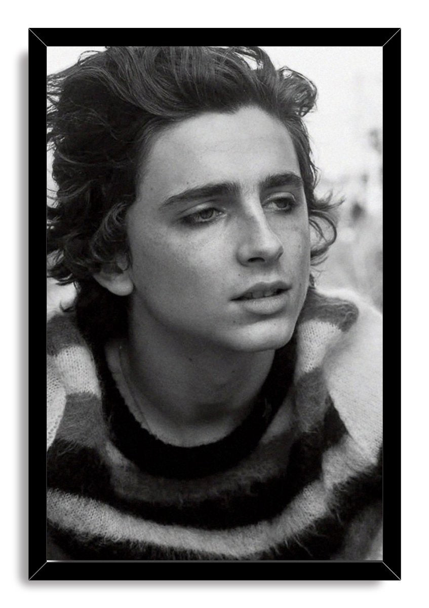 Timothée Chalamet framed wall art print displays a black-and-white portrait in a sleek black rectangular frame.