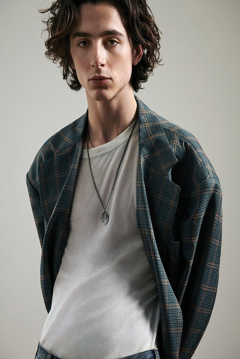 Timothée Chalamet wall art print portrays the actor in a plaid blazer, white shirt, and pendant necklace against gray.