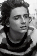 Timothée Chalamet poster features a black-and-white close portrait with tousled dark hair and a striped knit sweater.