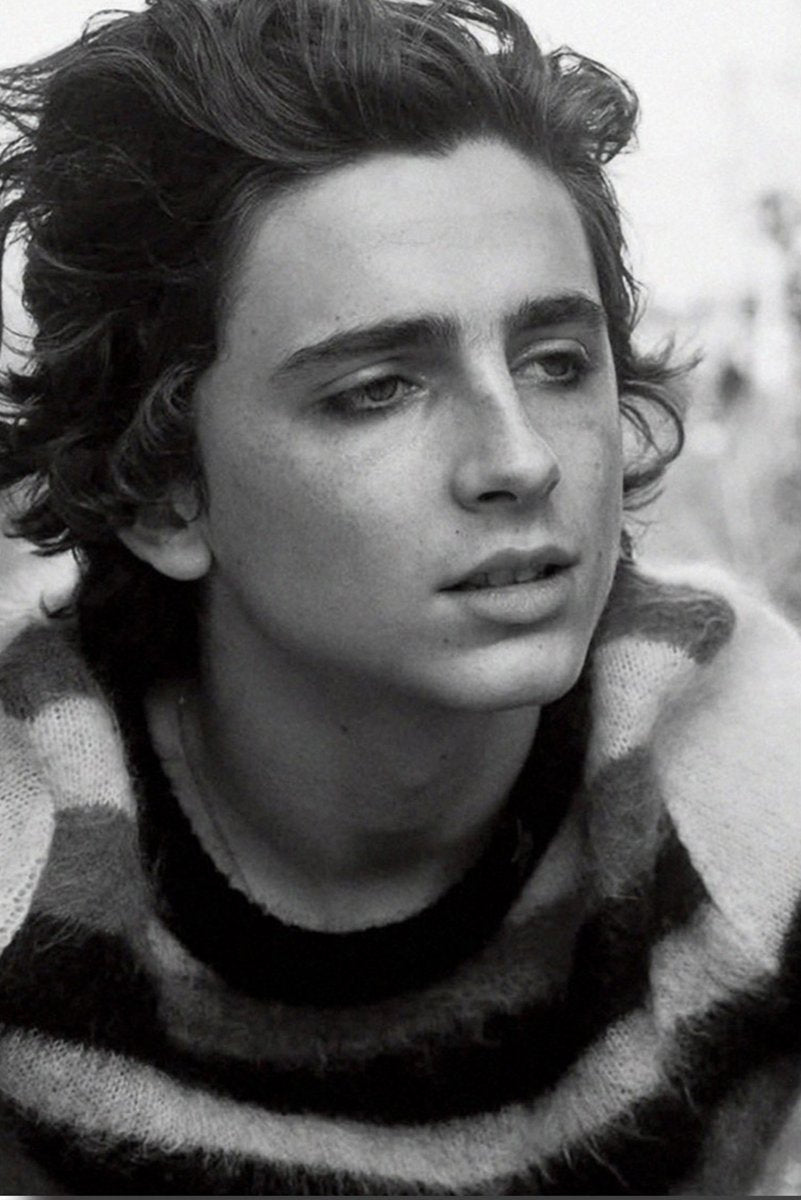 Timothée Chalamet poster features a black-and-white close portrait with tousled dark hair and a striped knit sweater.
