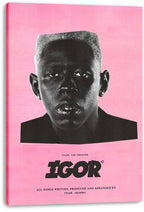 Tyler, The Creator IGOR canvas wall art print features a grayscale portrait, pink ground, and bold black title text.