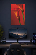Vibrant Calla Lilies in a gaming desk setup above a monitor.