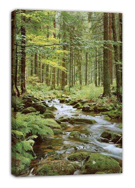 Forest creek canvas wall art print presented upright, with a rocky stream winding through lush green woodland.