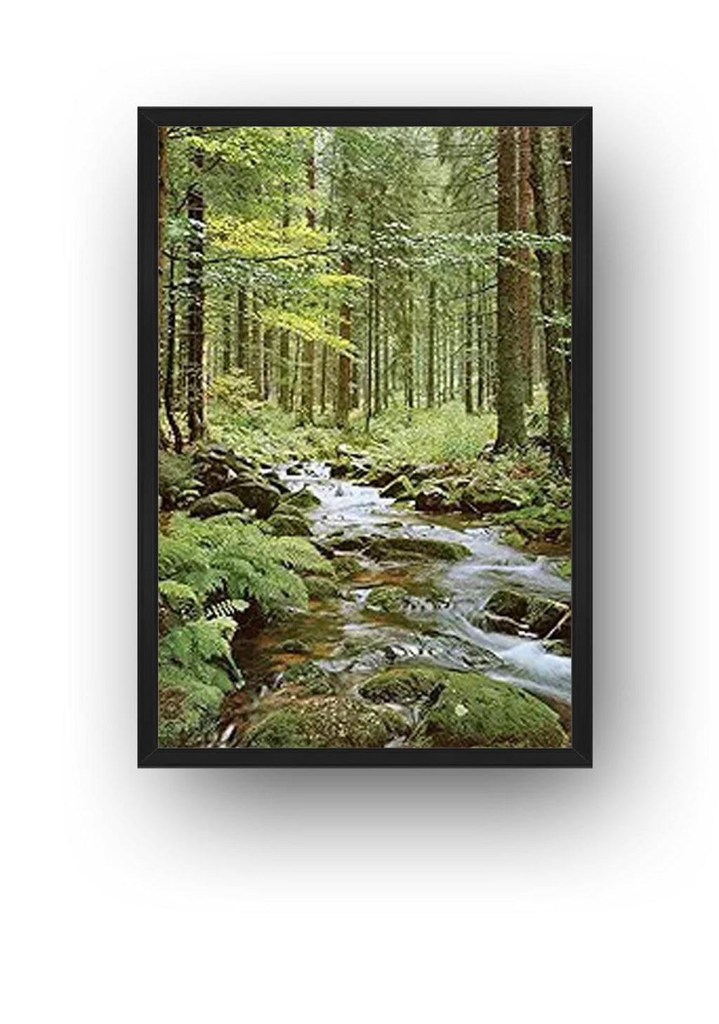 Forest creek framed wall art print in a black frame, featuring water over moss-covered stones among tall forest trees.