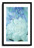 Framed floral wall art print with a black frame and white mat, featuring a pale rose beneath blue-violet blossoms.