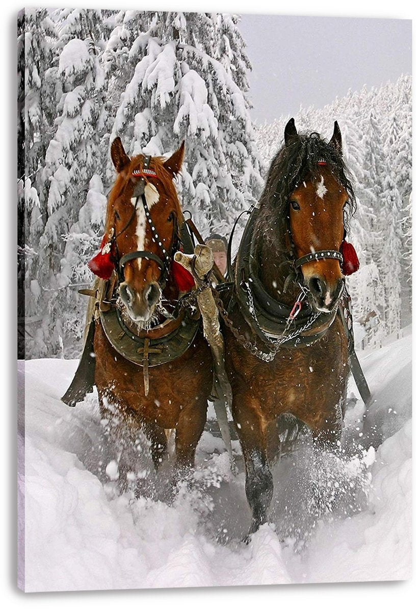 Winter horses canvas wall art depicts two harnessed brown horses kicking up snow on a forest trail, with wrapped canvas edges visible.