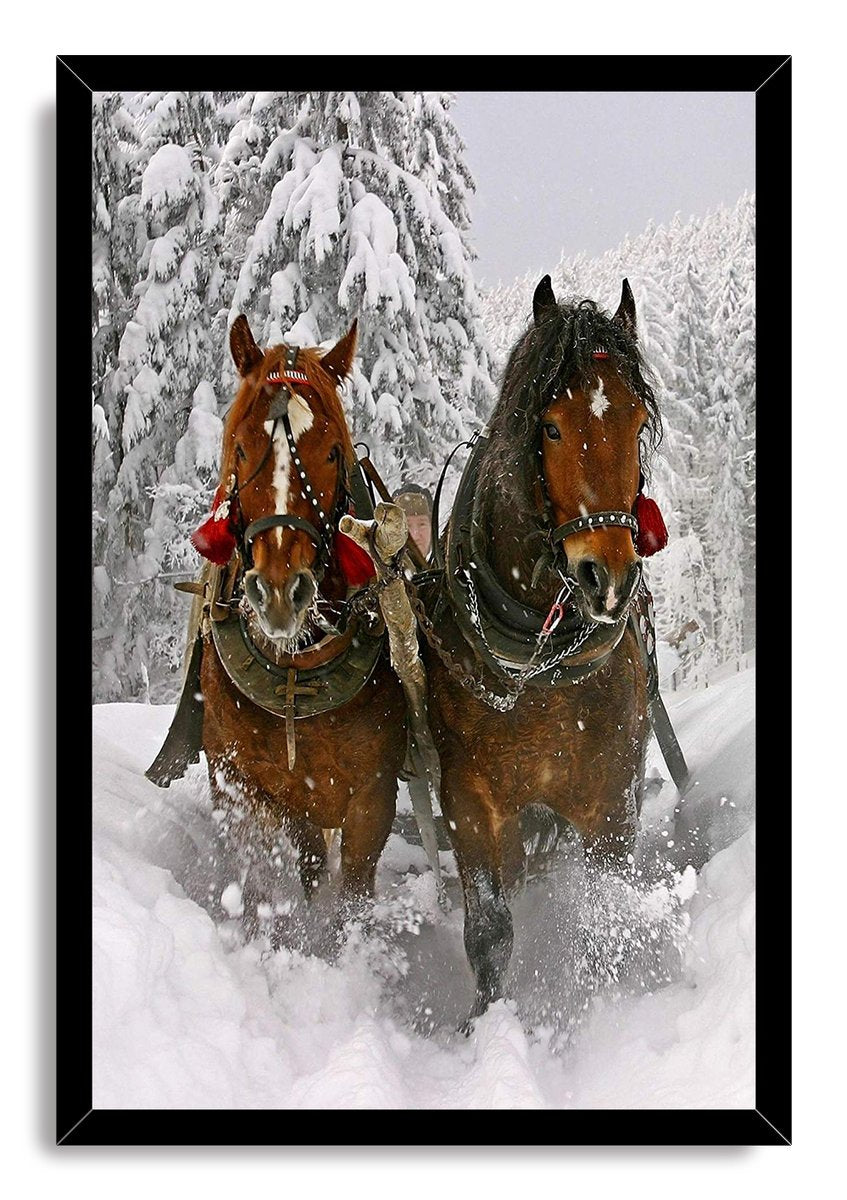 Winter horses framed wall art print features two harnessed brown horses running through snowy pines in a black mitered frame.