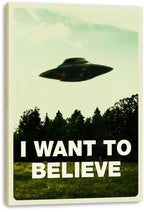 I Want To Believe canvas wall art print, presented with visible thick edges, depicting a UFO hovering over dark trees and grass.