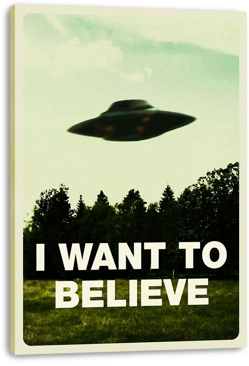 I Want To Believe canvas wall art print, presented with visible thick edges, depicting a UFO hovering over dark trees and grass.