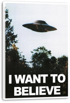 X-Files UFO wall art print presented on a thick white canvas, featuring a saucer over dark trees and “I WANT TO BELIEVE.