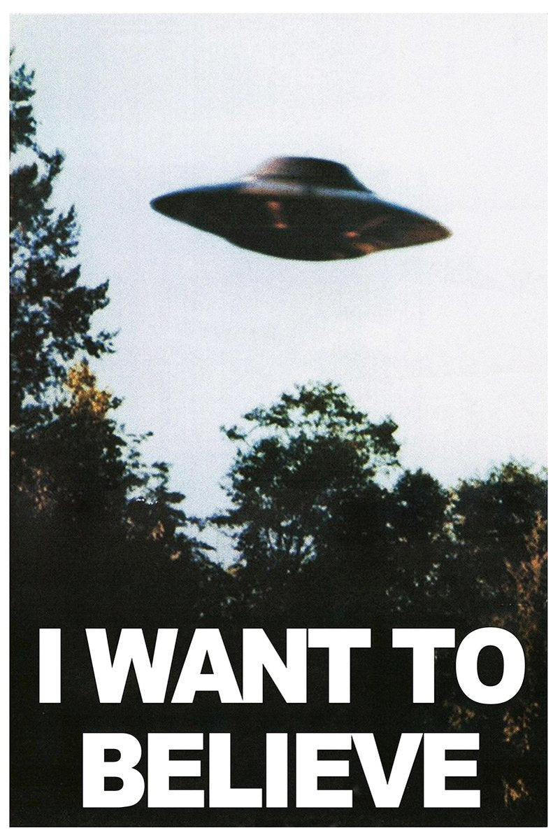 X-Files UFO poster with a dark flying saucer above silhouetted forest trees and bold white “I WANT TO BELIEVE” text.