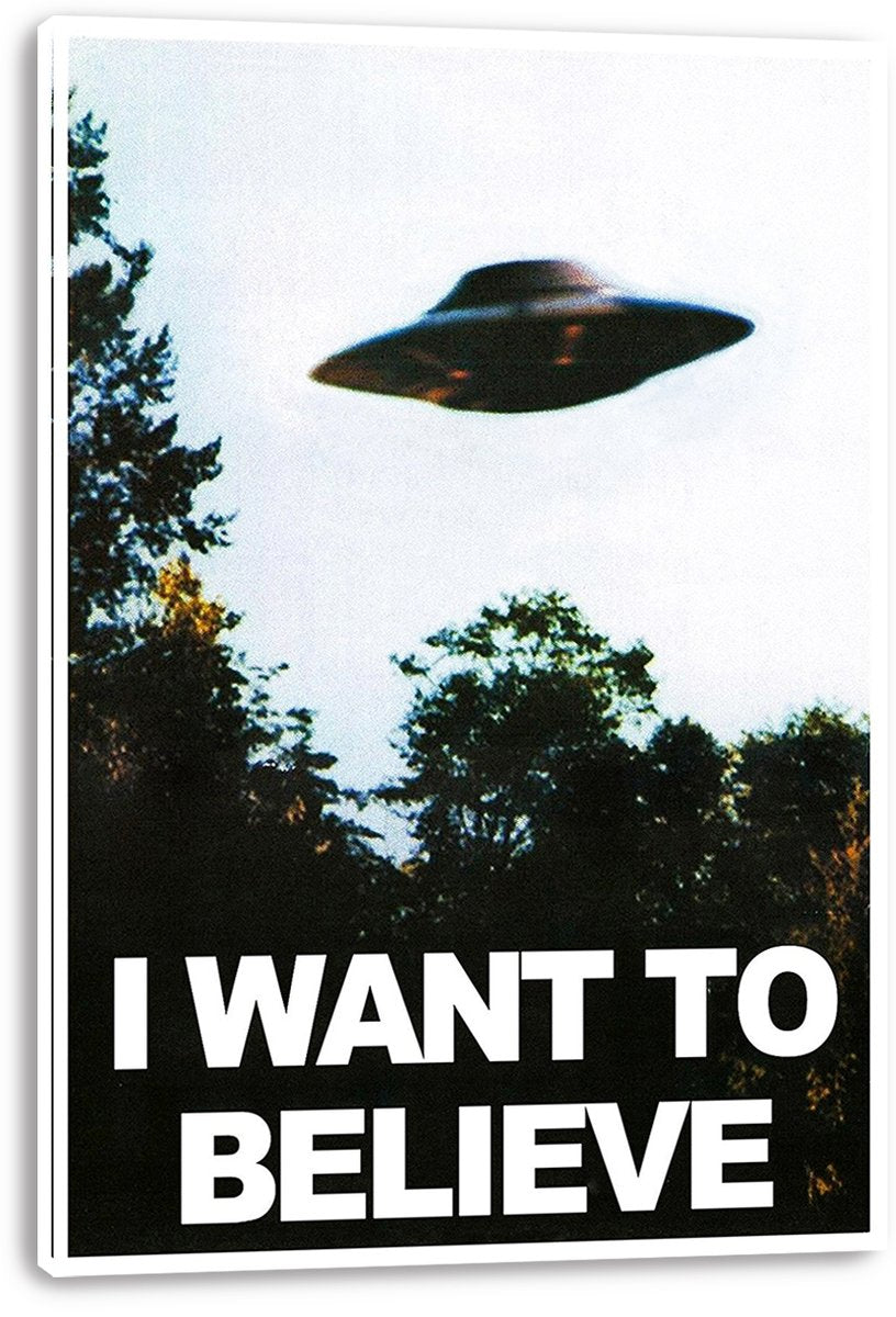 UFO canvas wall art print with a visible white wrapped edge, a hovering saucer over trees, and "I WANT TO BELIEVE" lettering.