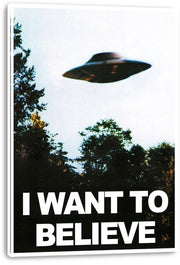 UFO canvas wall art print with a visible white wrapped edge, a hovering saucer over trees, and "I WANT TO BELIEVE" lettering.