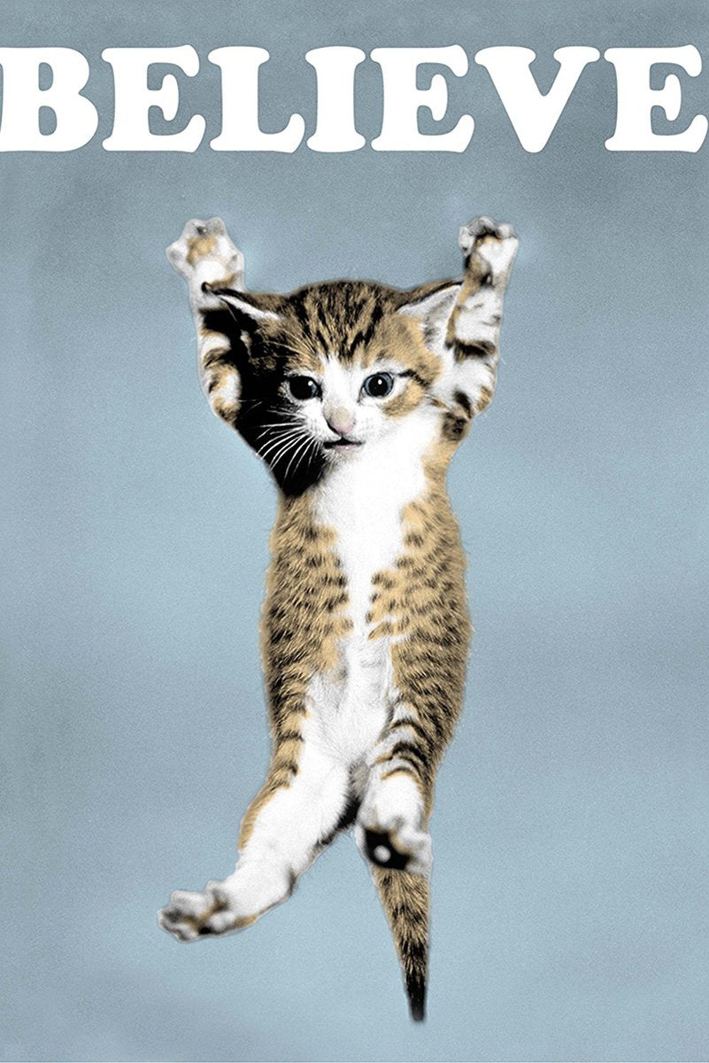 Kitten Believe Inspirational Decorative Painting (paper and canvas) art poster printing print