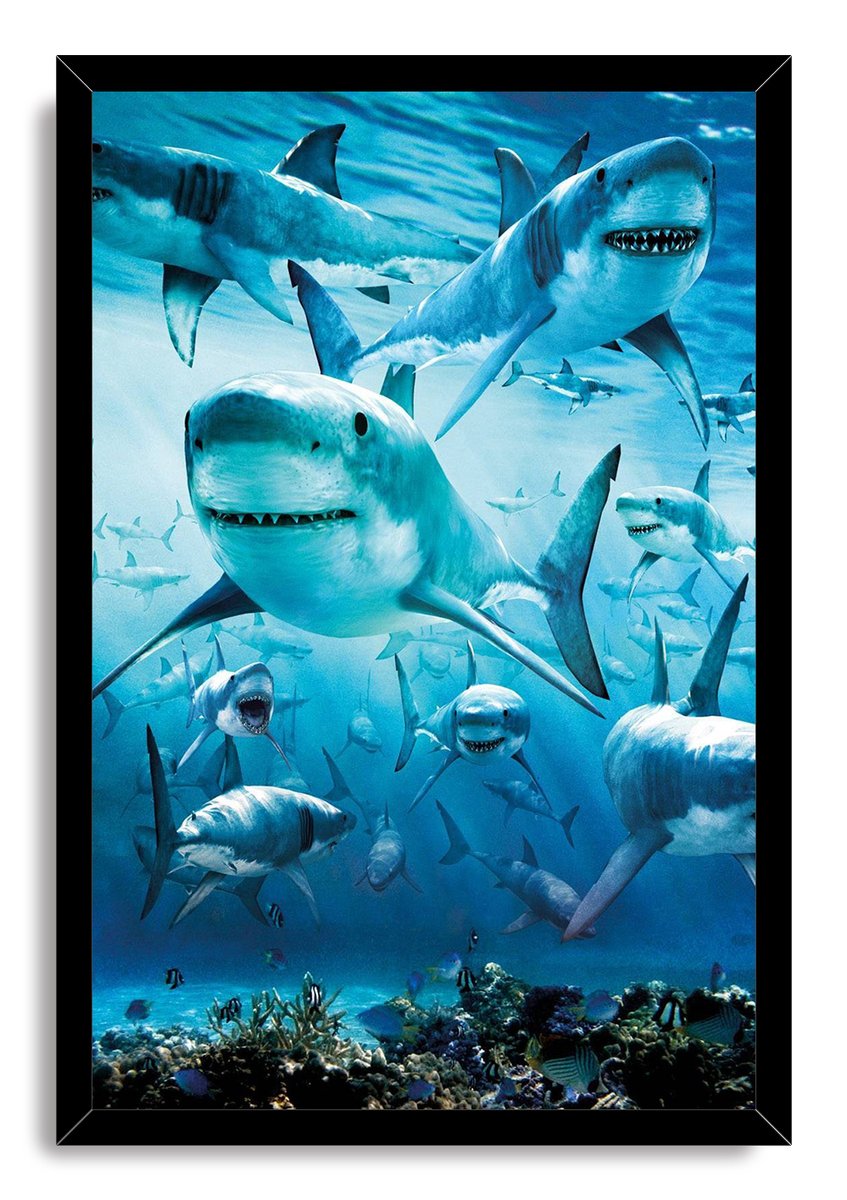 Great White Sharks Decorative Painting (paper and canvas) art poster printing print