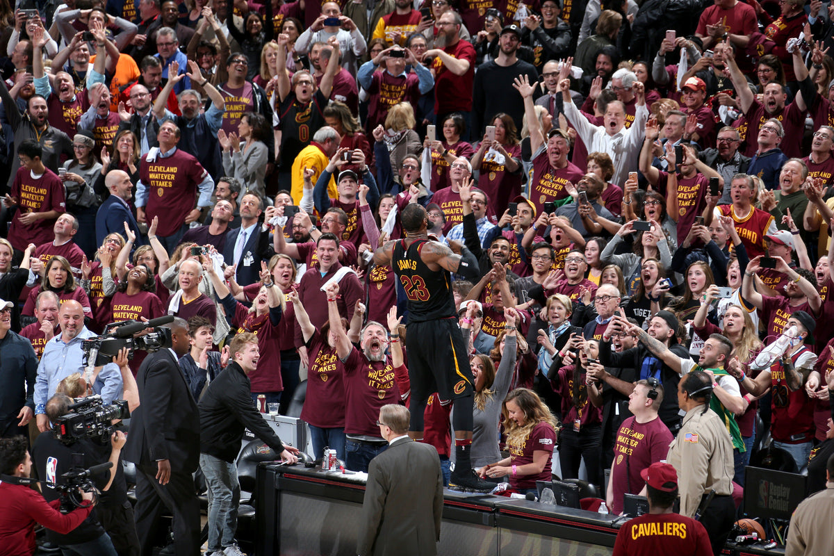 LeBron James Iconic Crowd Celebration